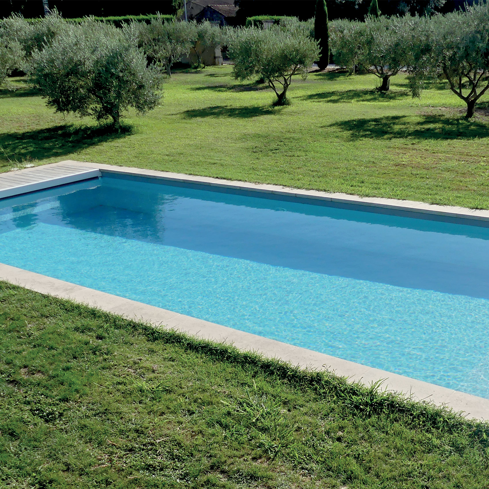 Description pour la balise alt SEO: "Piscine rectangulaire bleue claire entourée de gazon vert et d'oliviers dans une propriété champêtre ensoleillée."